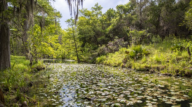 The acquisition of land adds to the conservation efforts in the region by protecting 515 acres of land in the Honey Creek State Natural Area and watershed.