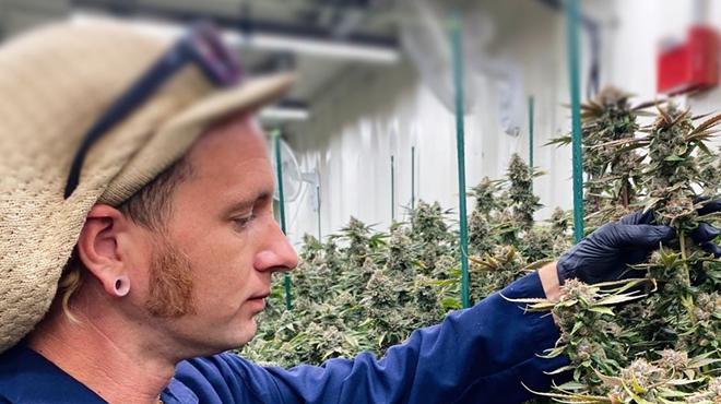 A goodblend worker cultivates plants at its growing facility.